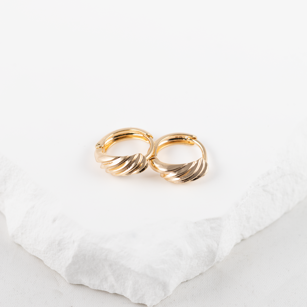 Riņķīšu auskari 'SANIJA'